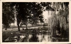 CPA Vichy Les Parcs et le nouvean Bassin des cygnes 