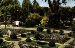 CPA Vichy Reine des Villes d'Eaux Le Parc des Cygnes et le Jardin a la Francaise