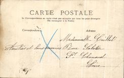 CPA Parc Des Celestins Vichy