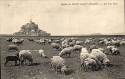 CPA Strikes Of Mont Saint Michel Close Dirty Sheep