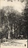 CPA Rethondes Foret de Laigues Le chene Louis XIV