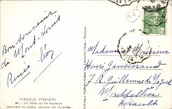 CPA Pyrenees Tables a Shepherd on the Heights dominating the Chain of the Pyrenees Shepherd Goat