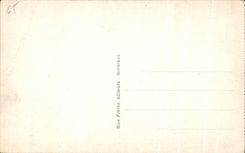 CPA the Pyrenees Cauterets the Cascade of Lutour