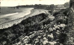 CPA Biarritz Les Hortensais et la Grande Plage