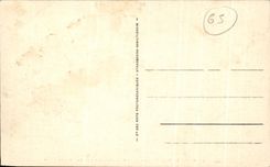 CPA Argeles Gazost Le Gave et le Viscos Vue du Pont de Tillos