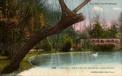 CPA Tarbes Piece d'eau et cloitre du jardin Massey Cygne