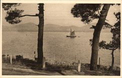 CPA Cote D'Azur Saint Tropez Le Massif de l'Esterel vu de la Route de Saint Tropez