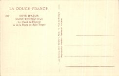 CPA Cote D'Azur Saint Tropez Le Massif de l'Esterel vu de la Route de Saint Tropez