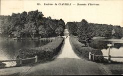 CPA Environs de Chantilly Chaussee d'Herivaux