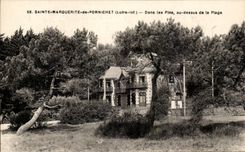 CPA Sainte Marguerite De Pornichet Dans Les Pins Au Dessus De La Plage