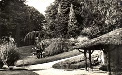 CPA Vichy Reine des villes d'eau Parc des Clestins 