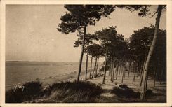 CPA Arcachon Moulleau Le Parc des Abatilles
