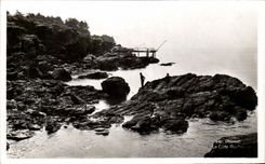 CPA Pornic La Cote Rocheuse