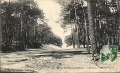 CPA Cote D'Argent Arcachon Route et Foret