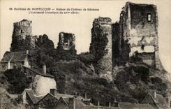 CPA Environs de Montlucon Ruines du Chateau de Herisson 