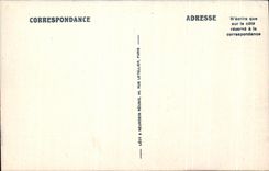 CPA Chateau De Chambord Vue Prise A l'Ouest