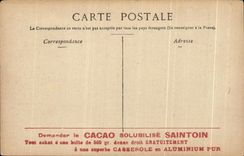 CPA Le Chateau De Blois