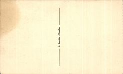 CPA Versailles Le Belvedere Parc du petit Trianon 