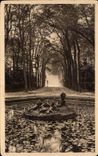 CPA Splendeurs Et Charmes De Versailles Les Jardins Bassin De Ceres Allee De l'Ete