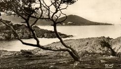 CPA Agay bord du mer