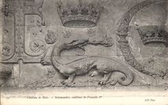CPA Chateau de Blois Salamandre Embleme de Francois 1er