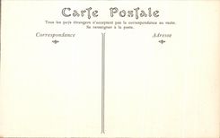 CPA Chateau de Blois Salamandre Embleme de Francois 1er