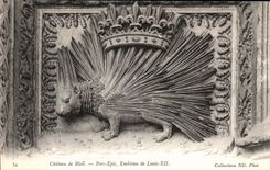 CPA Chateau de Blois Porc Epic Embleme de Louis XIII