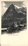 CPA Kleine Scheidegg Mit Eiger Vaches