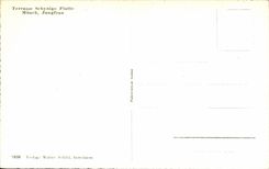 CPSM Terrasse Schynige Platte Monch Jungfrau