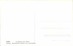 CPA Freiburg Bridge of the Medium Or Tisserands