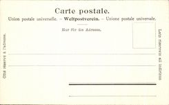 CPA Kleine Scheidegg MIT Eiger cow