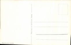 CPSM Geneva Tours of St hones