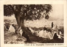 CPSM Maroc Vue Generale de Fez 