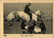 Image a Pretty Jump Horse militaria