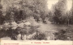 CPA Chartrettes a Pond