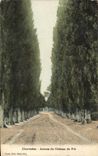 CPA Chartrettes Avenue of the castle of Pre