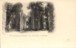 CPA Pare du Chateau De Chantilly Les Trois Allees