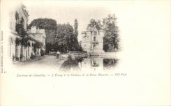CPA Environs de Chantilly L'Etang le Chateau de la Reine Blanche 