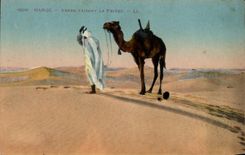 Arab CPA Morocco Making the Prayer Camel
