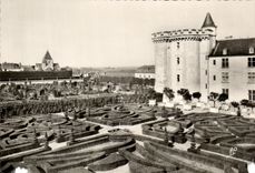 CPSM Villandry Le Donjon et les Jardins