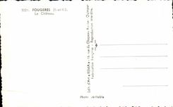 CPSM Ferns the Castle