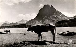 CPA the Pyrenees Lake Ayous Peak of the South of Ossau Cow