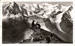 CPA Chamonix Chaine du Mont Blanc Chamois Isard