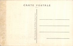 CPA Musee de Tours Le Cedre Geant