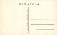 CPA Musee de Tours Le Cedre Geant Circonference autour des branches