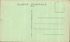 CPA Paris Museum of Caspar Natural history has Casque New Guinea Zoo bird