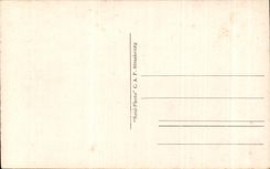 CPA St Savin Interieur de Eglise Les Anciennes Orgues