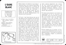 Chart Polar bear WWF
