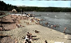 CPSM Picturesque Auveregne Aydat La Beach Lake