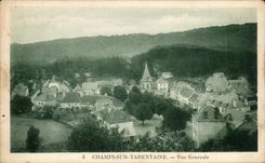 CPA Fields On Tarentaine View